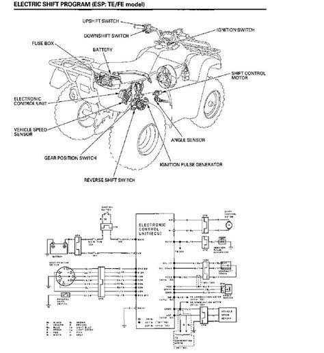 2002 Honda Rancher Es Wiring Diagram: Master Your ATV